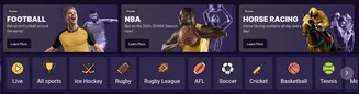 Sports betting categories including Football, NBA, Horse Racing, and icons for Ice Hockey, Rugby, Soccer, Cricket, and more
